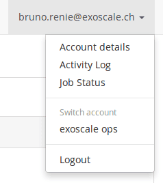 organization switcher