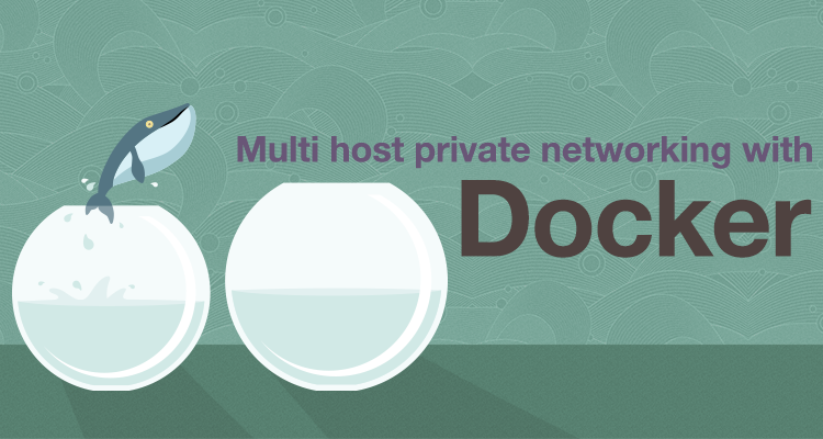 Multi-host Private Networking with Docker