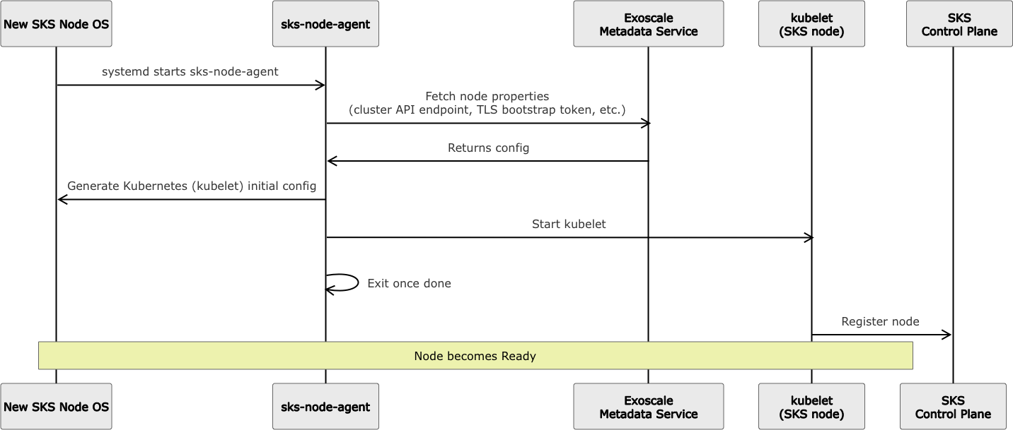 SKS Node startup process